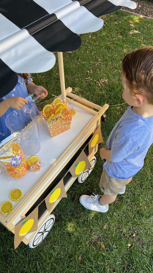 Lemonade Sensory Kit