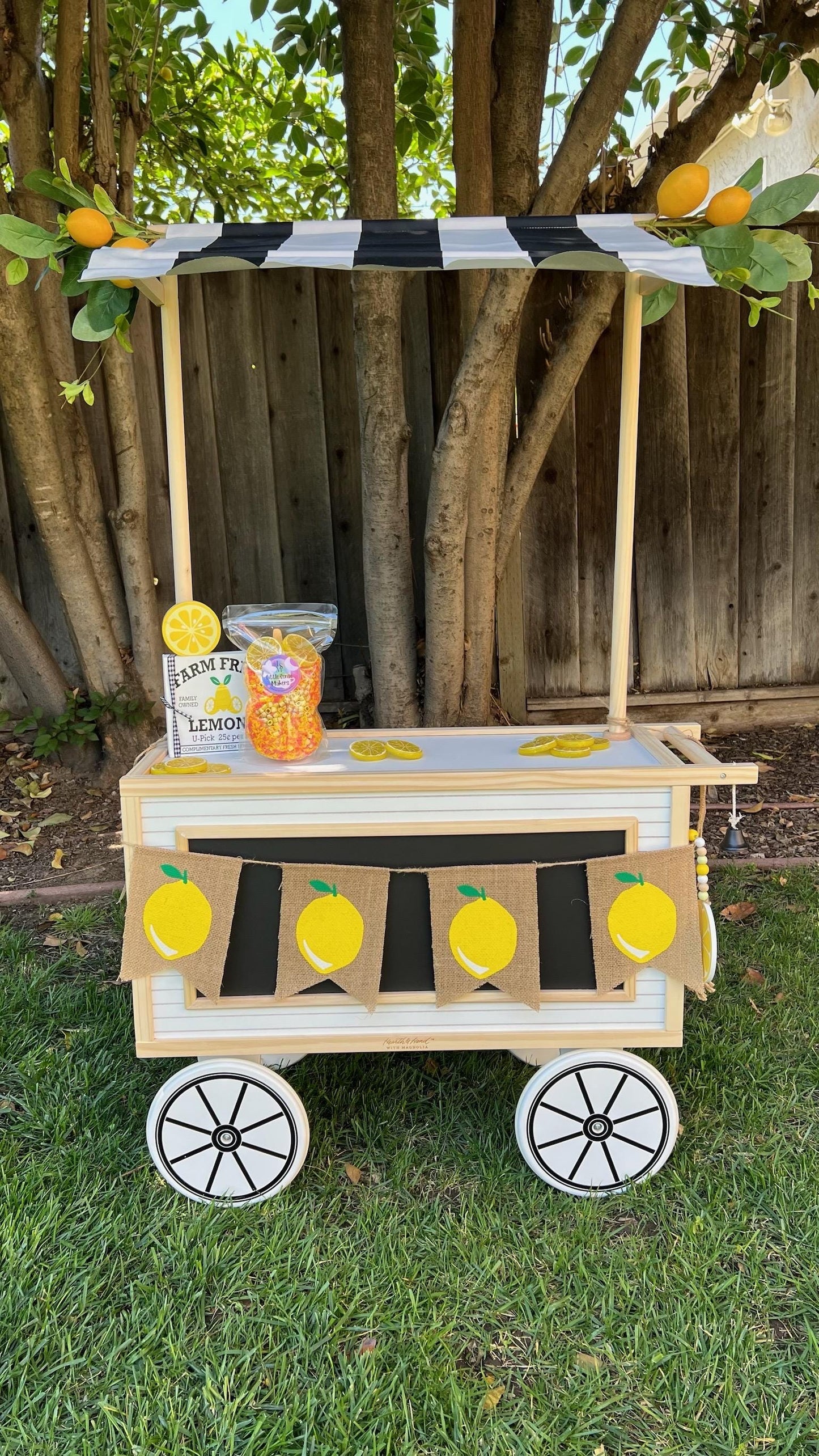Lemonade Sensory Kit