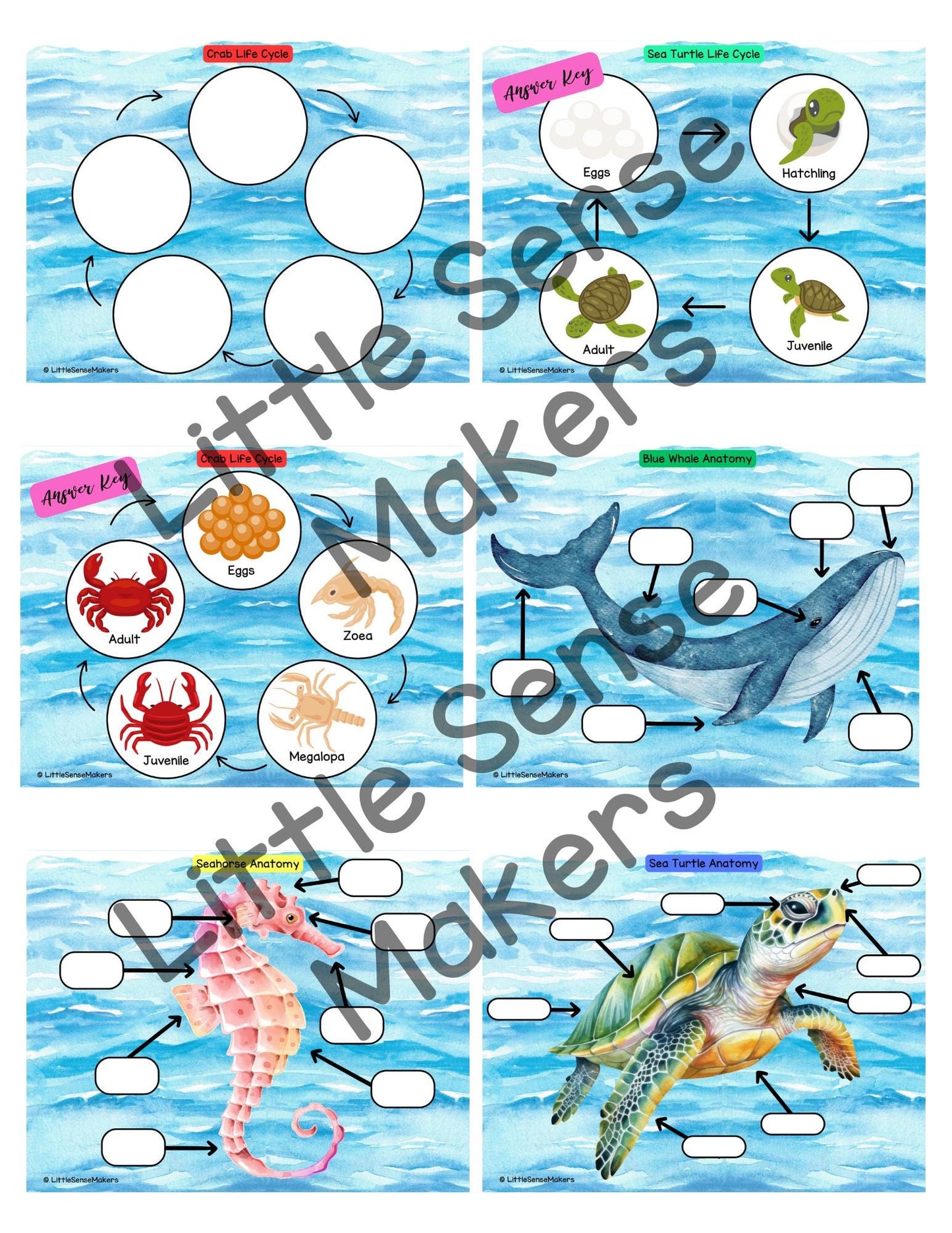 Ocean Animals Activity Pack: Homeschool & Preschool Printables