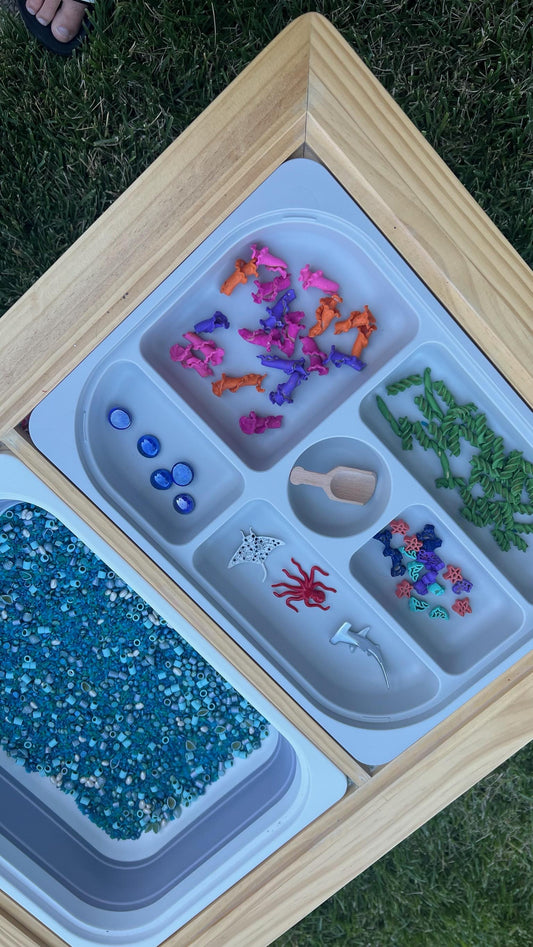 Ocean Sensory Kit