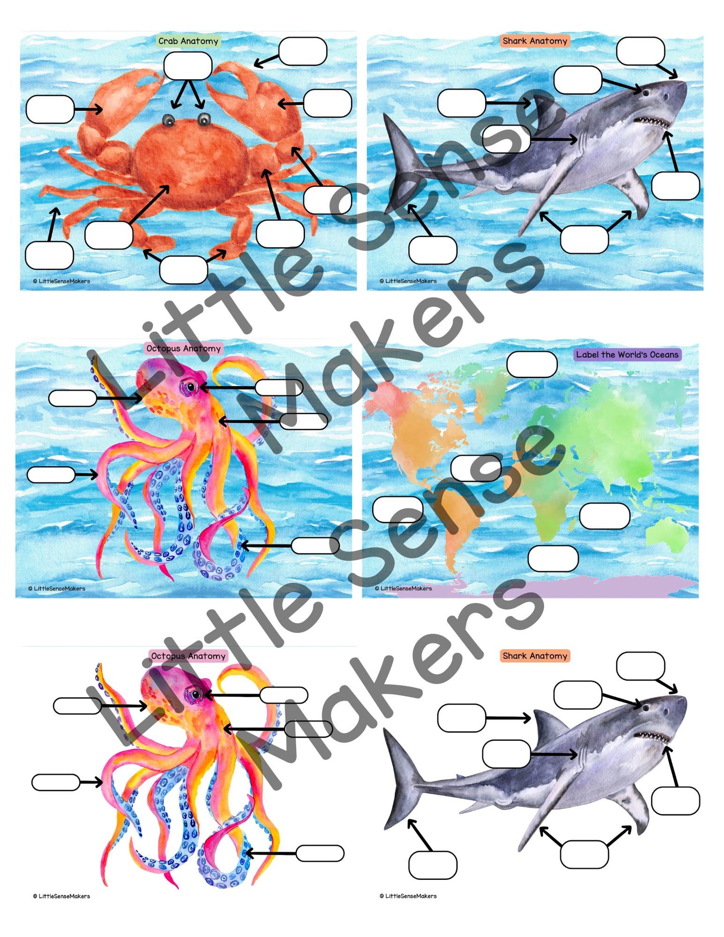 Ocean Animals Activity Pack: Homeschool & Preschool Printables
