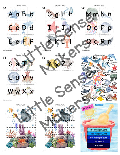 Ocean Animals Activity Pack: Homeschool & Preschool Printables