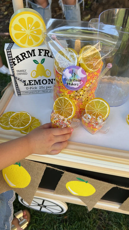 Lemonade Sensory Kit
