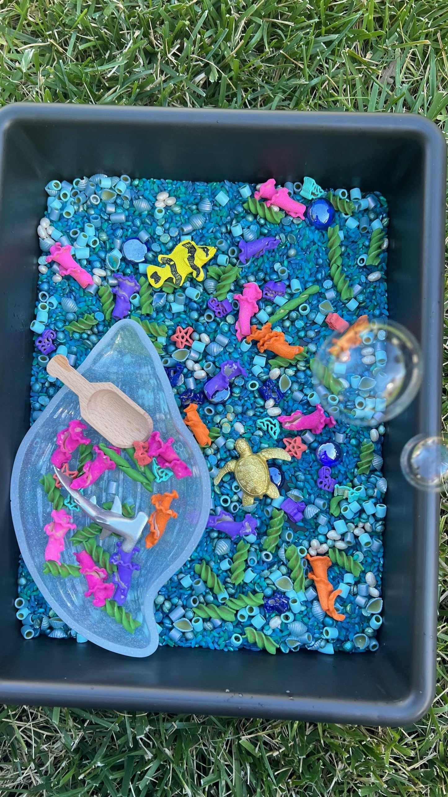 Ocean Sensory Kit