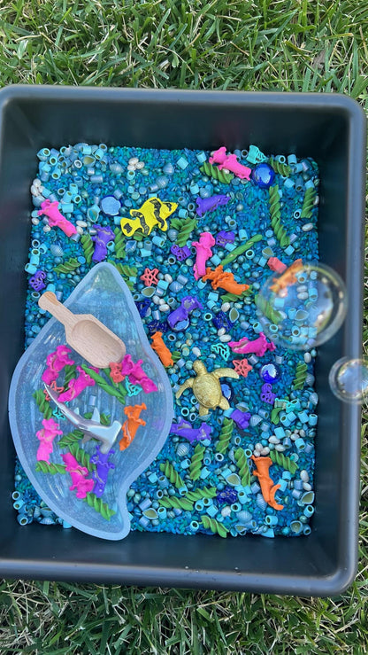 Ocean Sensory Kit