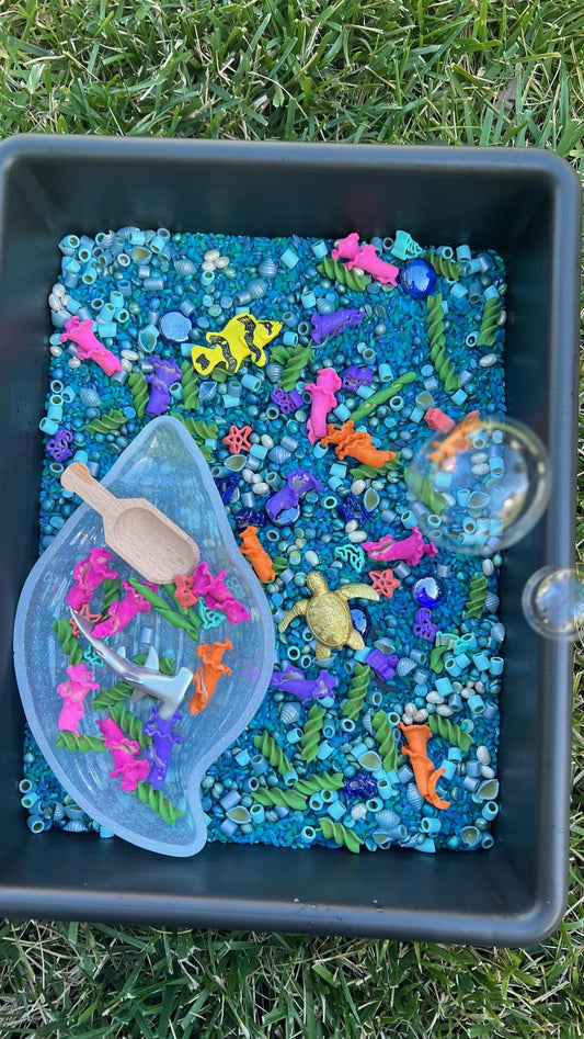 Ocean Sensory Kit