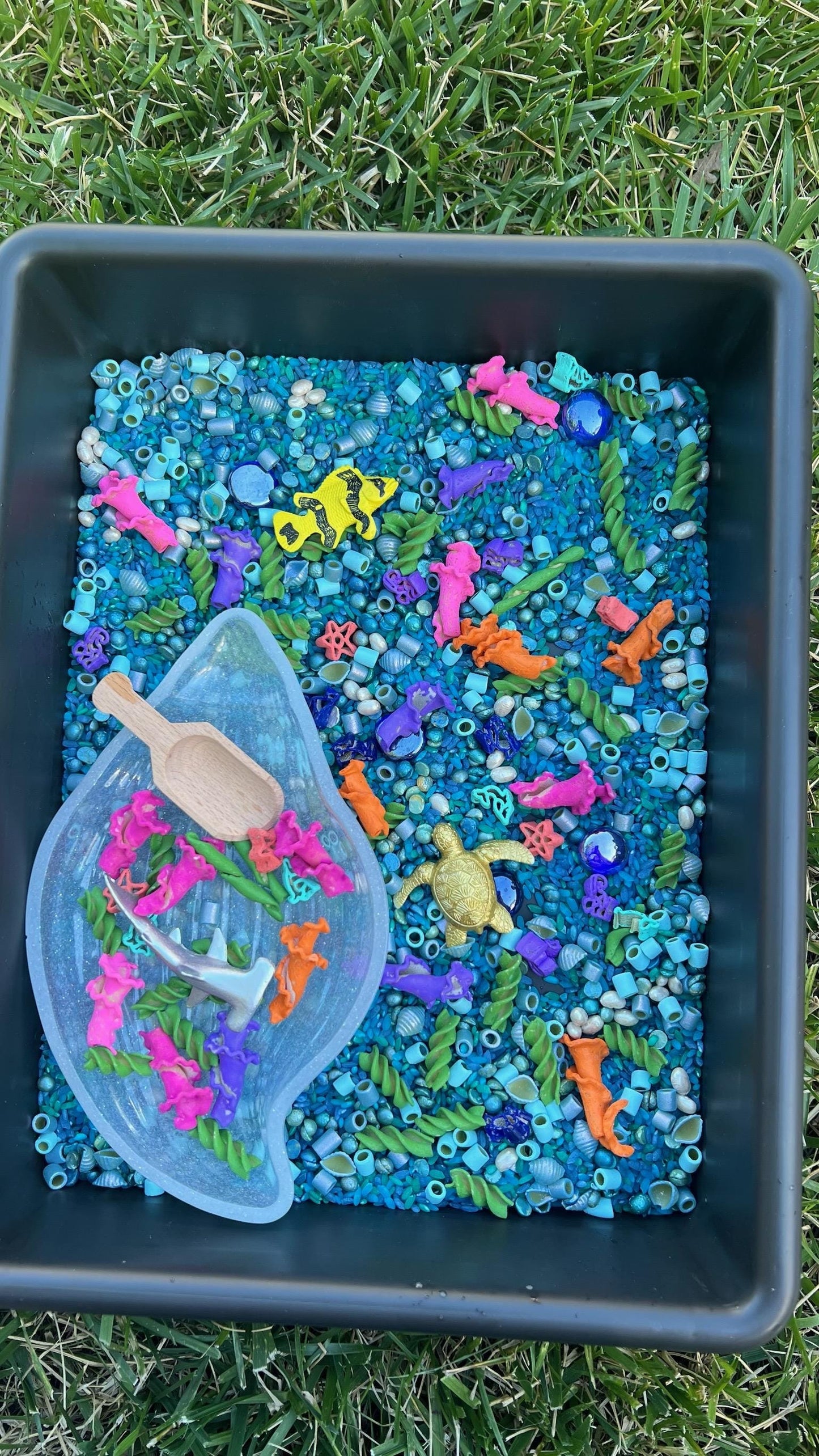 Ocean Sensory Kit