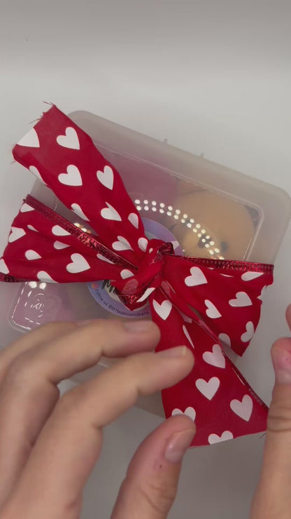 Teddy Bear's Valentine - Mini Sensory Play Kit